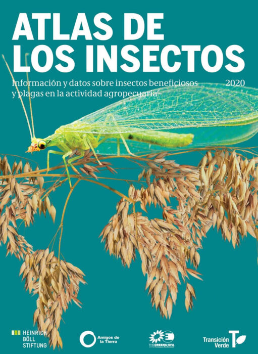 Un Estudio Alerta Sobre La Desaparición De Insectos A Causa De La ...